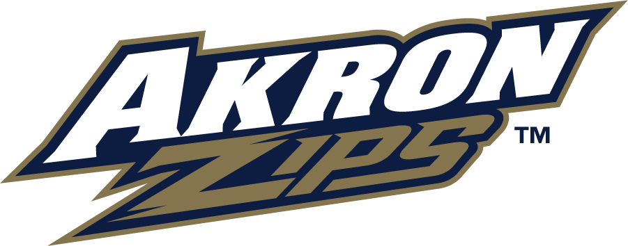 Akron Zips 2008-2018 Wordmark Logo DIY iron on transfer (heat transfer)